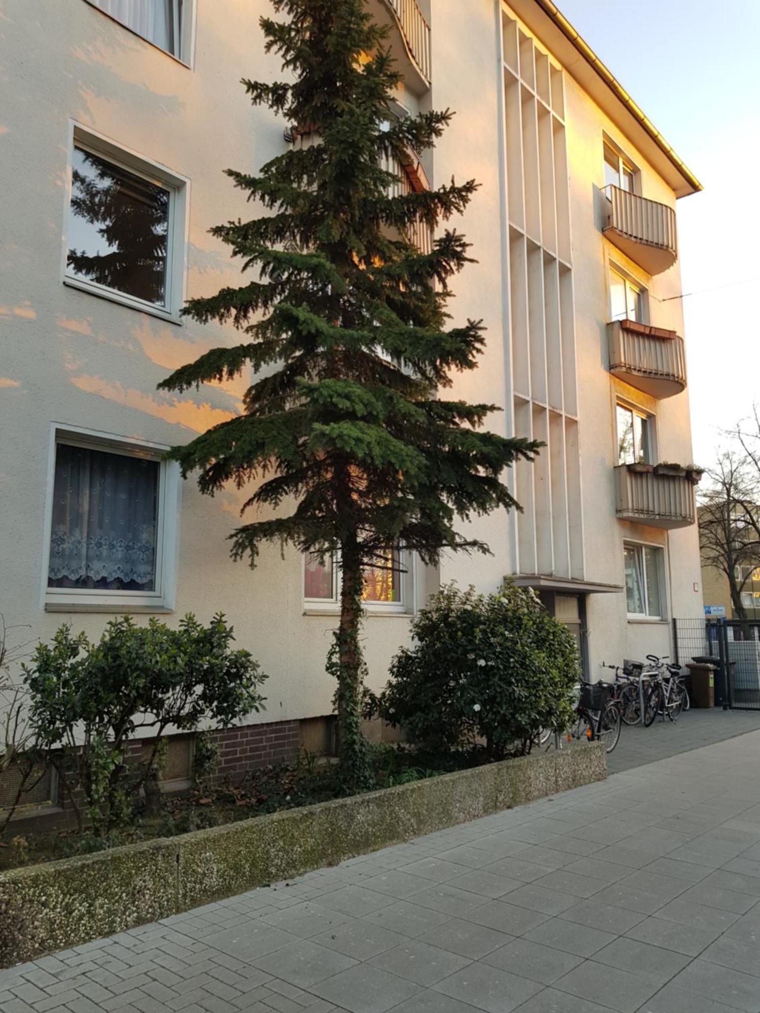 Design-Apartment 汉诺威 外观 照片